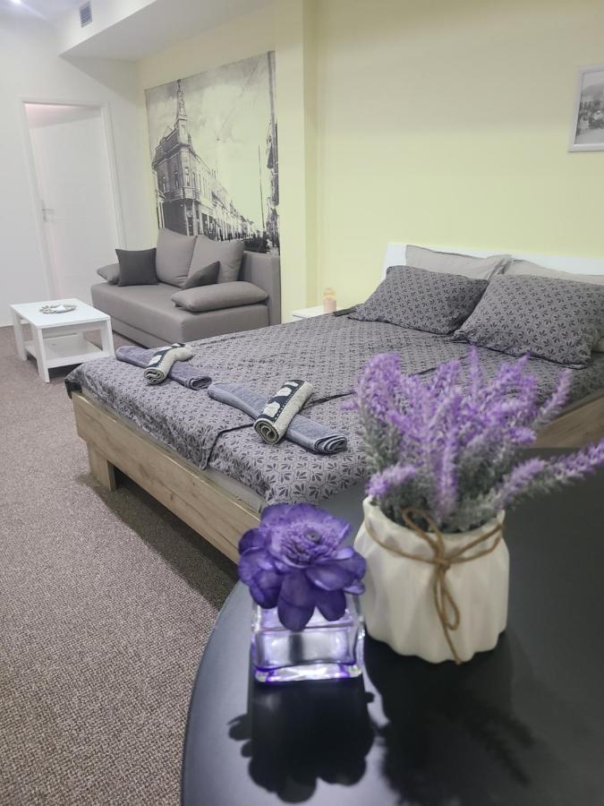 Stari Zajecar Apartments Zimmer foto